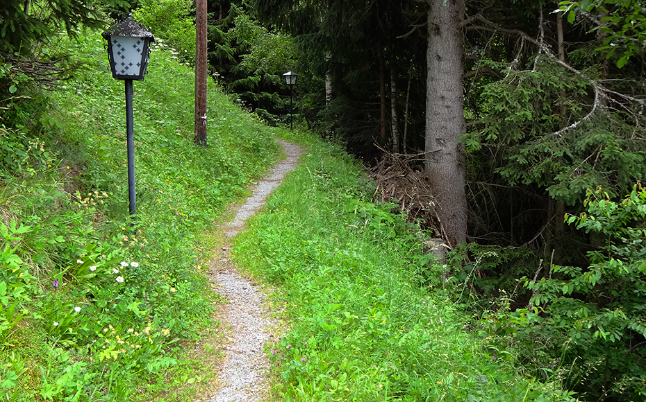 almstüberl-trail